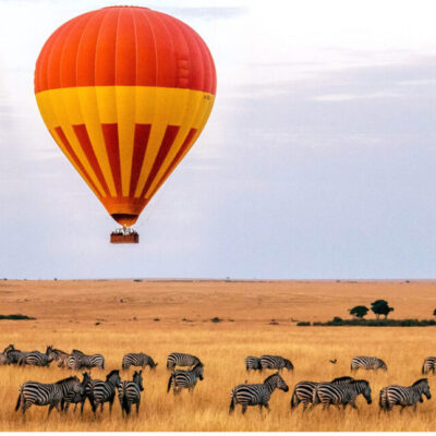 3 Days 2 Nights Maasai Mara & Lake Nakuru Safari Luxury